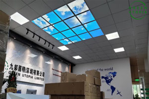 Where are the LED sky panel lights used mostly? Where are the LED sky panel lights used mostly?